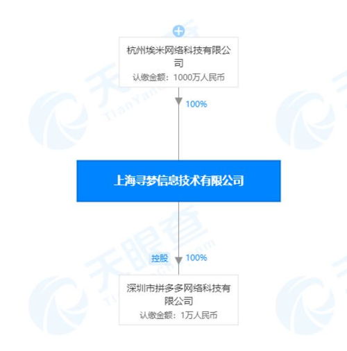 黄峥退出上海寻梦信息技术董事，专注计算机软硬件技术开发新战略